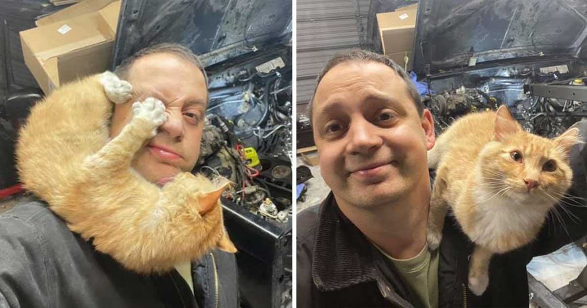 man finds cat garage repairing car