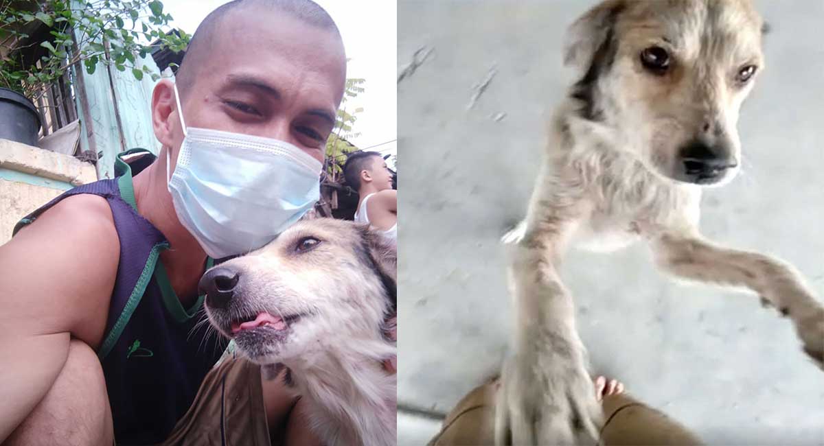 A dog missing for almost 3 months cannot hide the excitement when his father finally finds him, and cries with happiness