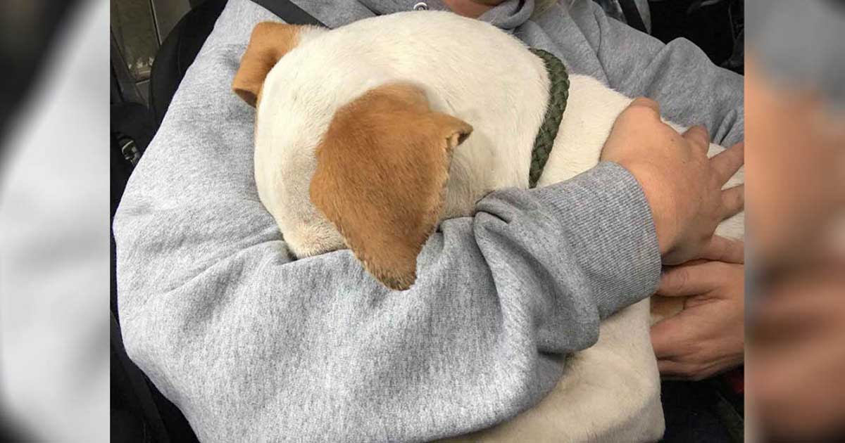 rescued dog sweetest hug woman