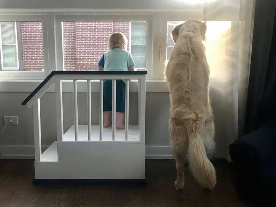 Boy and dog look out the window