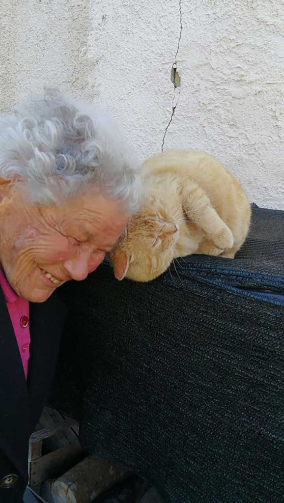 an old woman finds her missing cat after years
