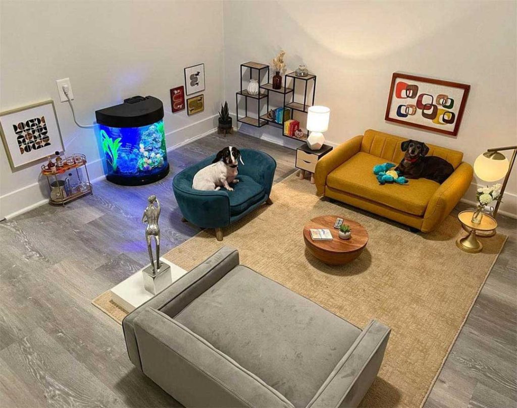 dog living room