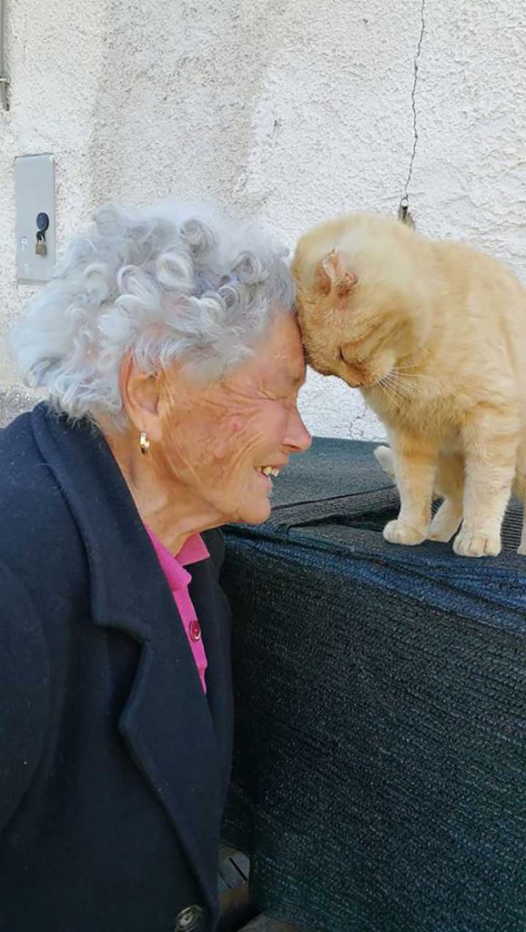 old woman finds her cat lost for 4 years
