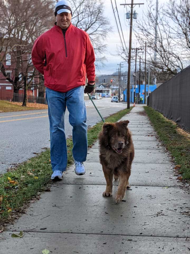 Alex Johns walking dogs