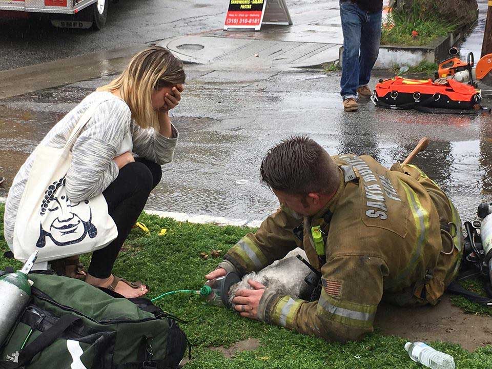 Firefighter saves dog