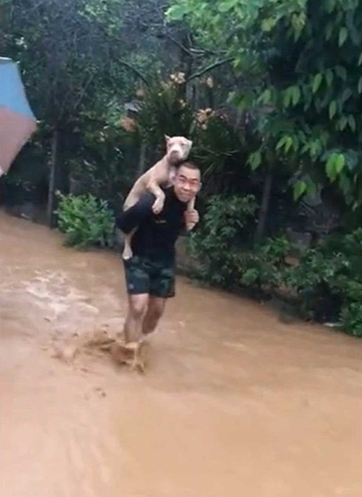 Man saves puppy flood