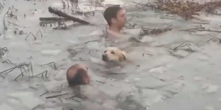 Two policemen jump frozen lake save dog