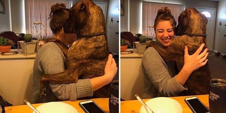 dog hugs his foster mother