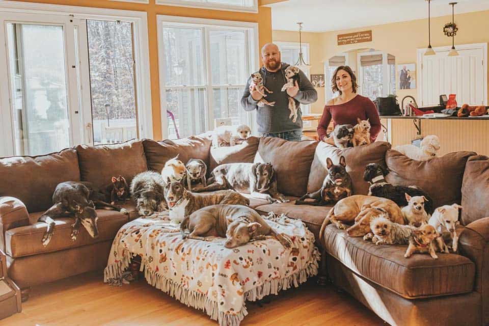 family with 21 dogs