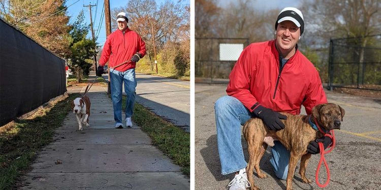 man walks 50 dogs shelter anniversary