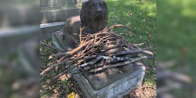 people leave sticks dog grave 100 years ago