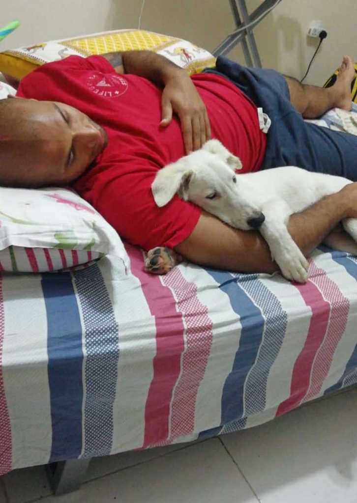Dog falls asleep on his father