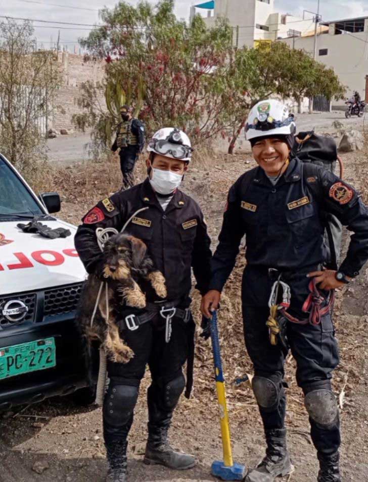 Police Rescued Puppy Ravine