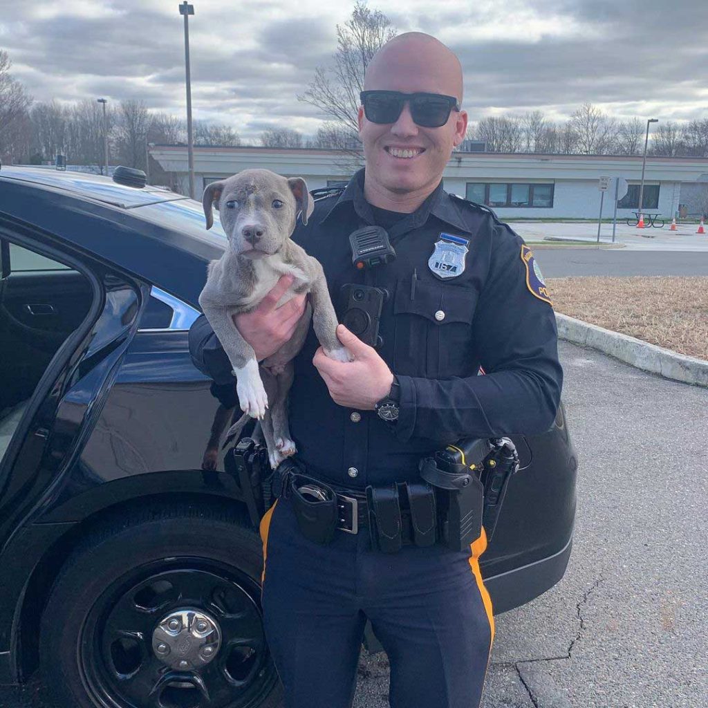Police officer welcomes pitbull puppy to his family