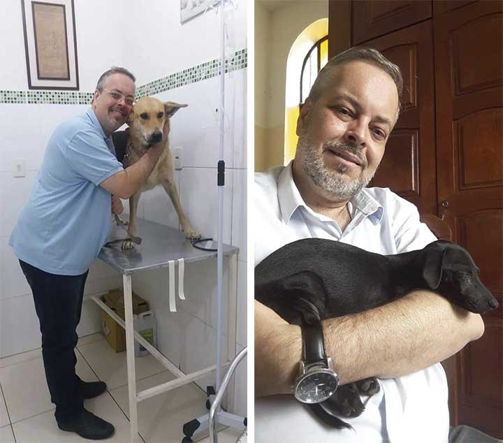 Priest rescues dogs