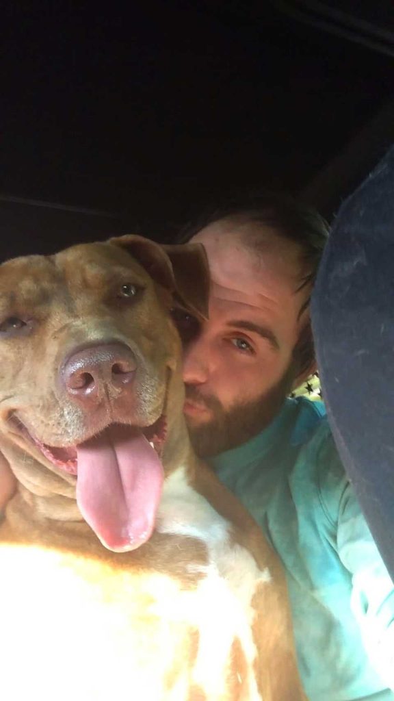 Stolen dog is reunited with her father