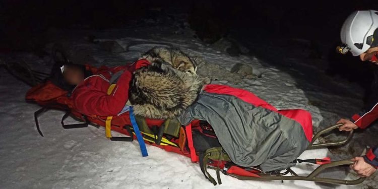 dog warms injured hiker for 13 hours