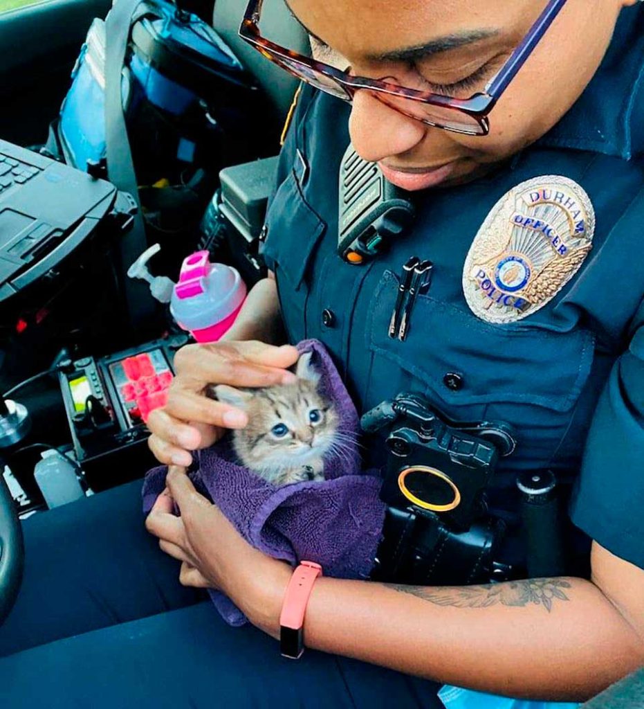 kitten saved by police