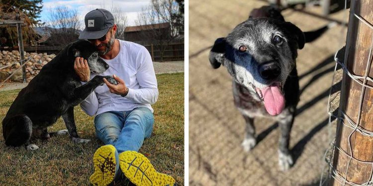 16-year-old man adopts dog ensures last days are better