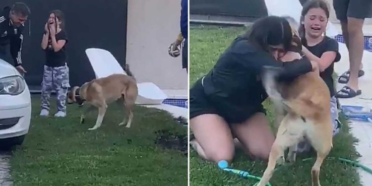 Children crying emotion see missing dog finally home