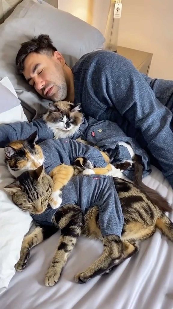 Dad and cats sleep