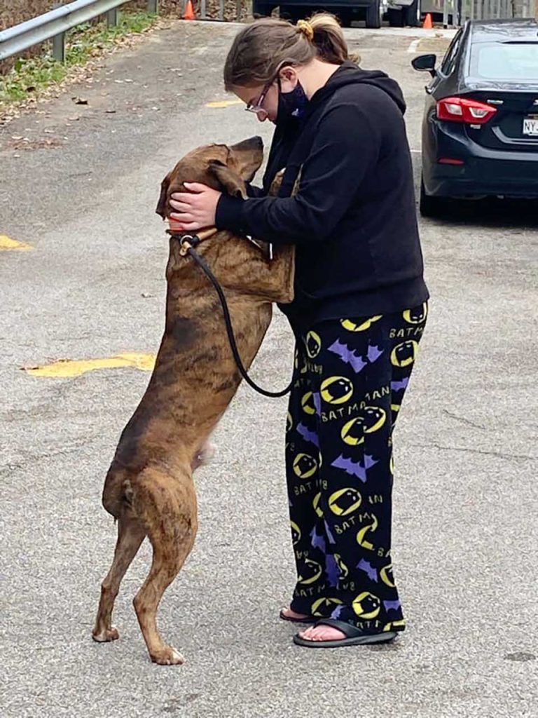Shelter dog comforts teen and she adopts him