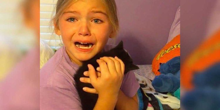 girl breaks down crying rescued cat