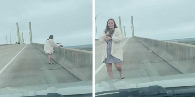 woman sees tiny kitten edge bridge