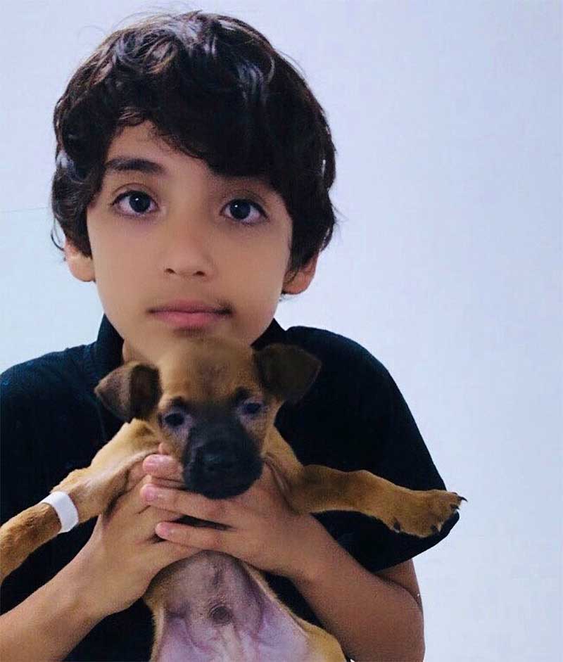 17-year-old boy opens sanctuary for homeless animals