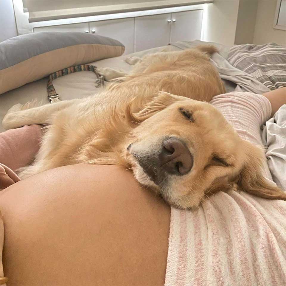 Dog with mom