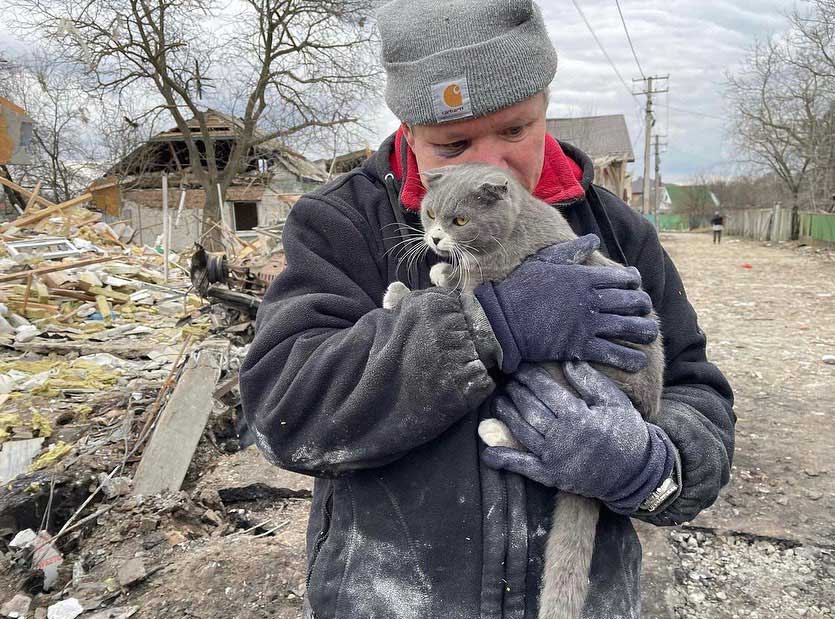 Man comforts a cat ukraine