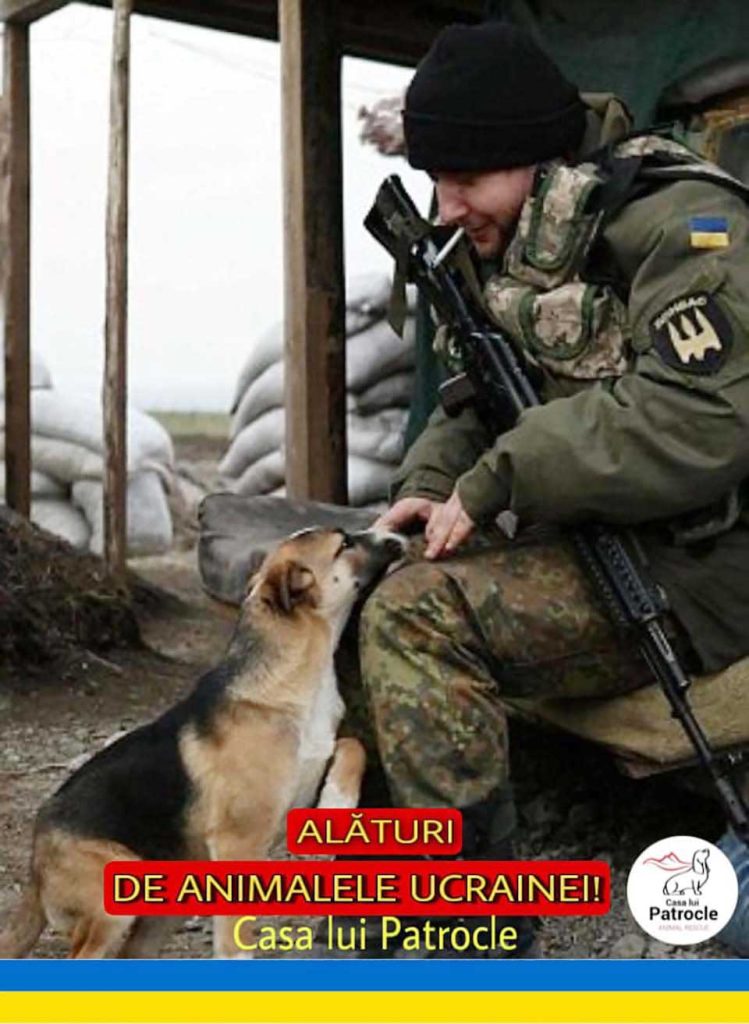 Pet and a soldier