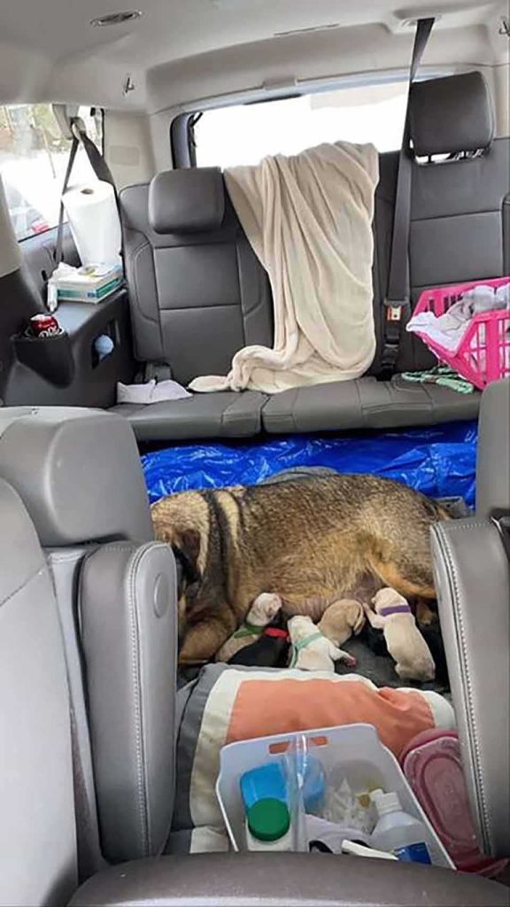Texas family spends 12 hours in car