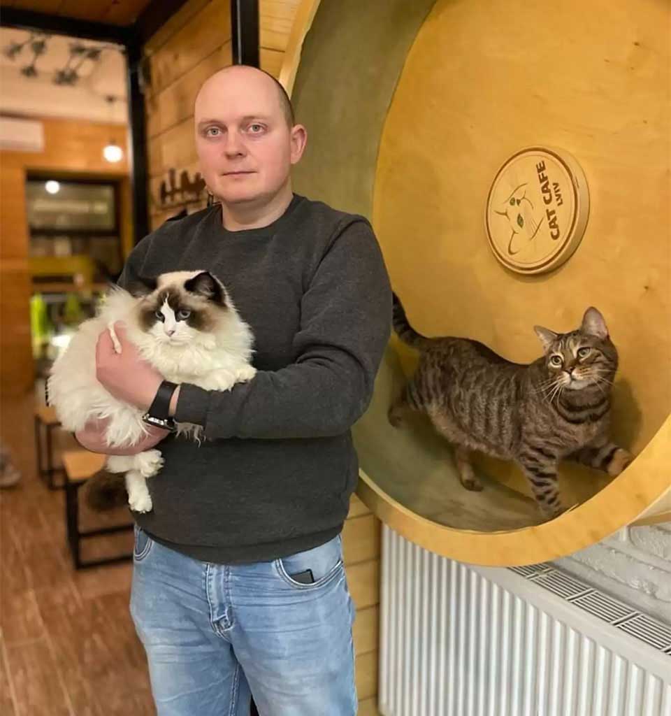 Ukrainian cat cafe