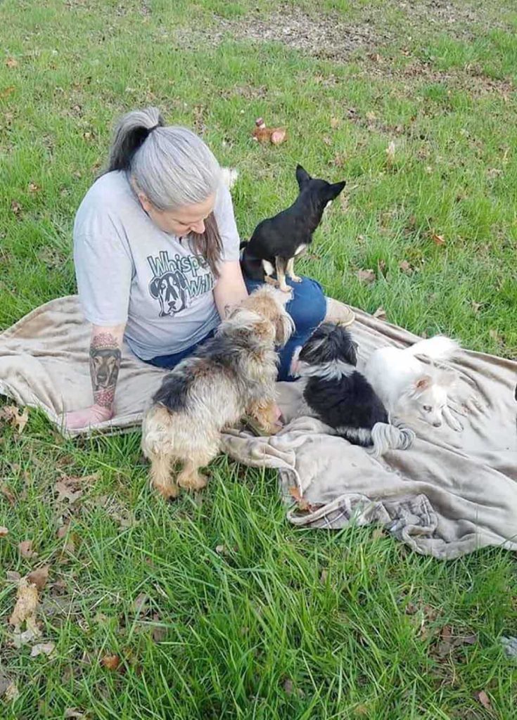 Woman turns her home into a dog hospice, caring for 80 at a time