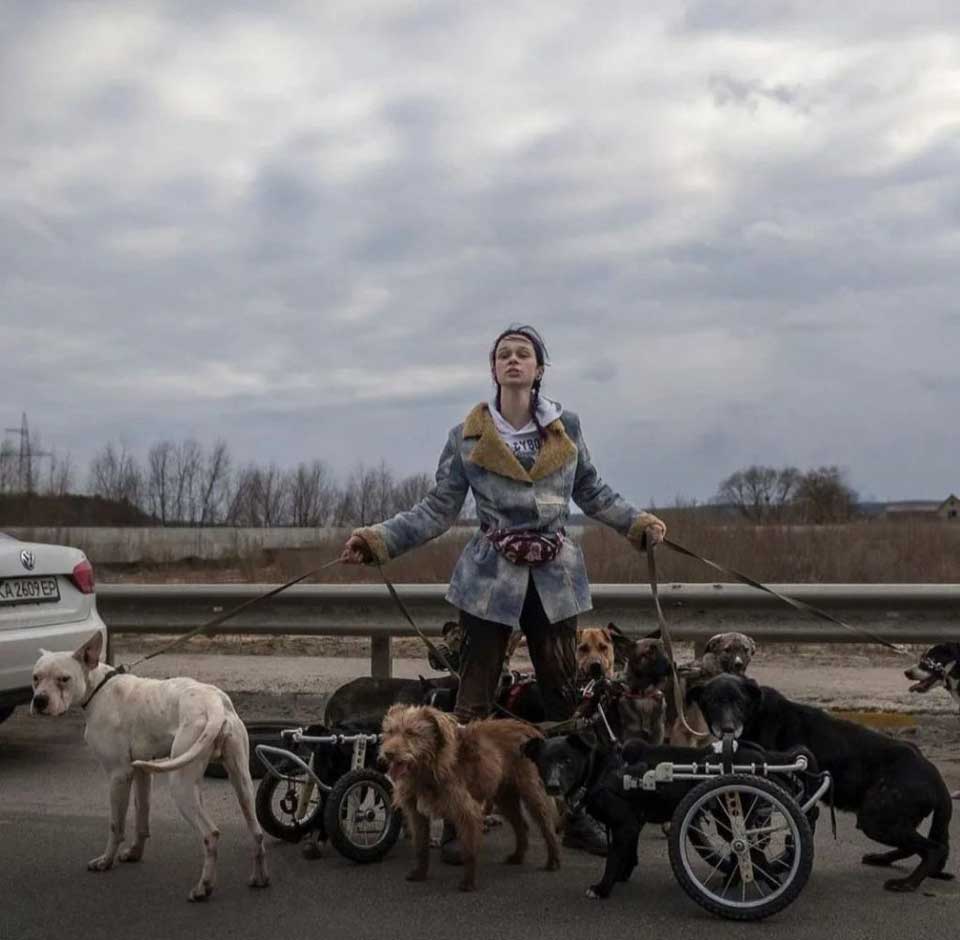 Young Ukrainian woman helps animals