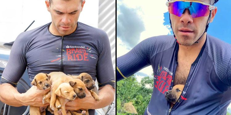 cyclist finds abandoned puppies carries safe place shirt