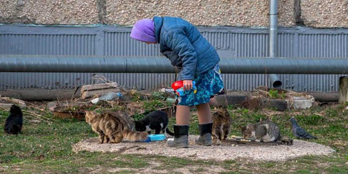disabled elderly ukrainians feed rescue animals