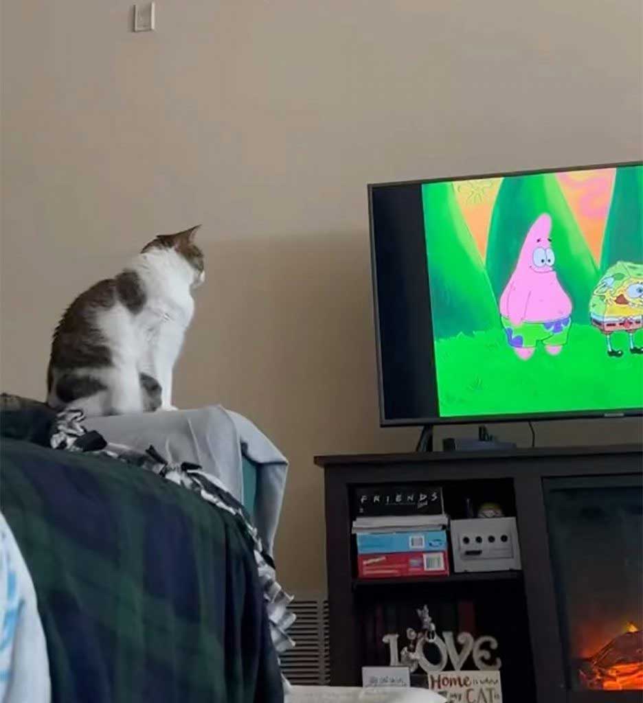 Ella watching tv