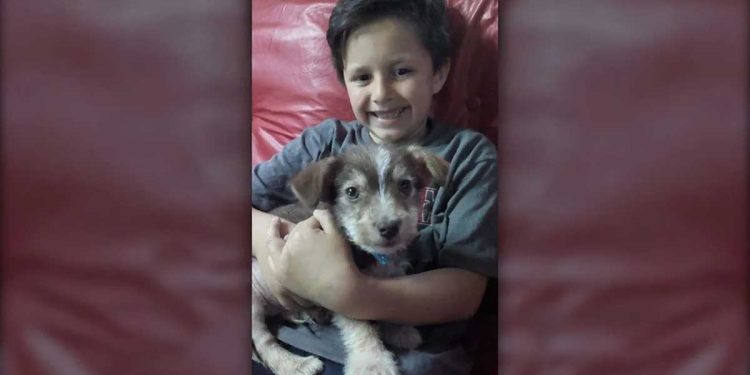 boy saved adopted dog