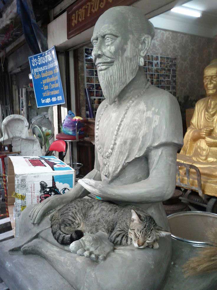 cats love sculptures