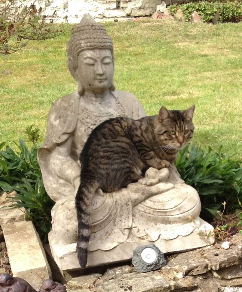 cats love sculptures
