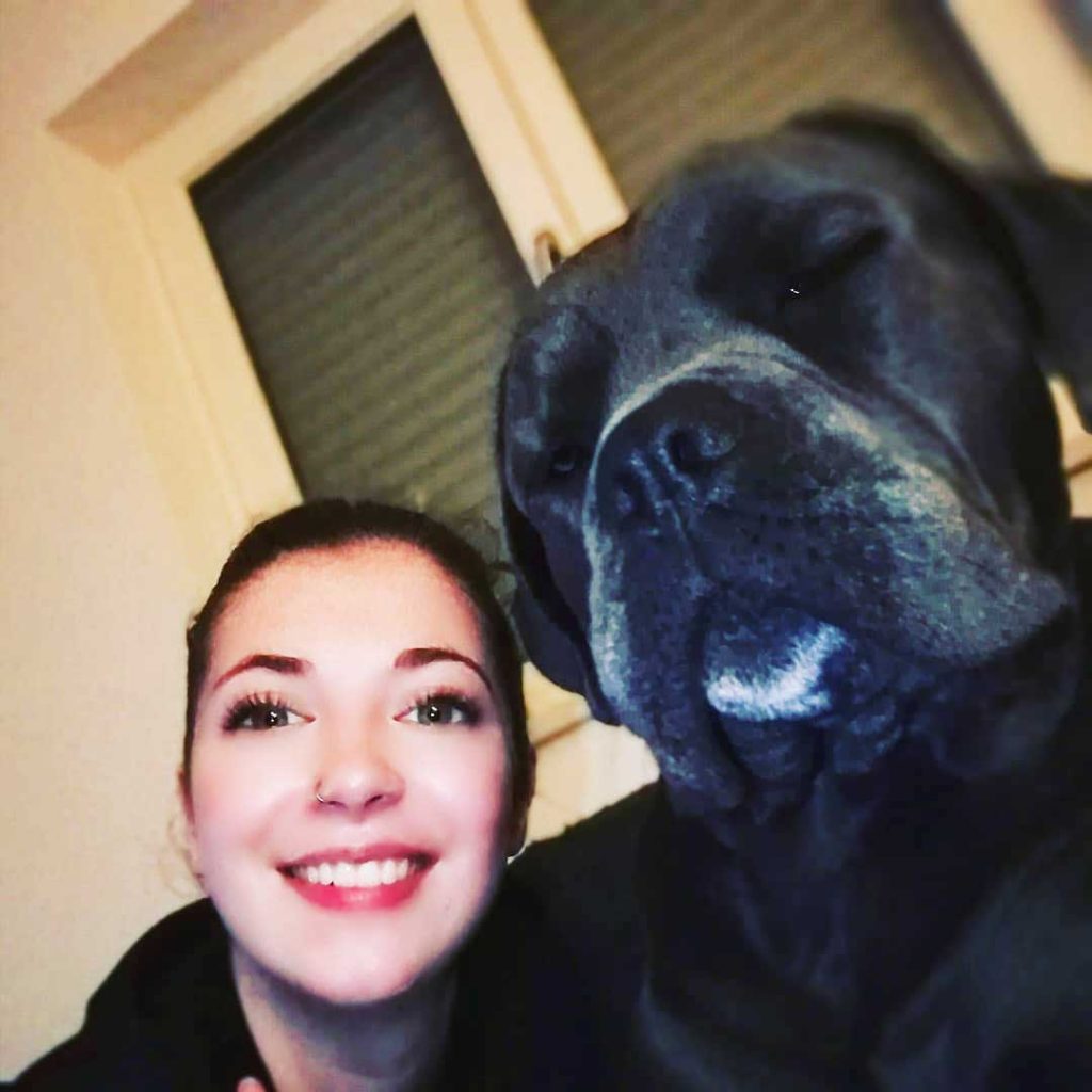 pets absolutely hate selfies