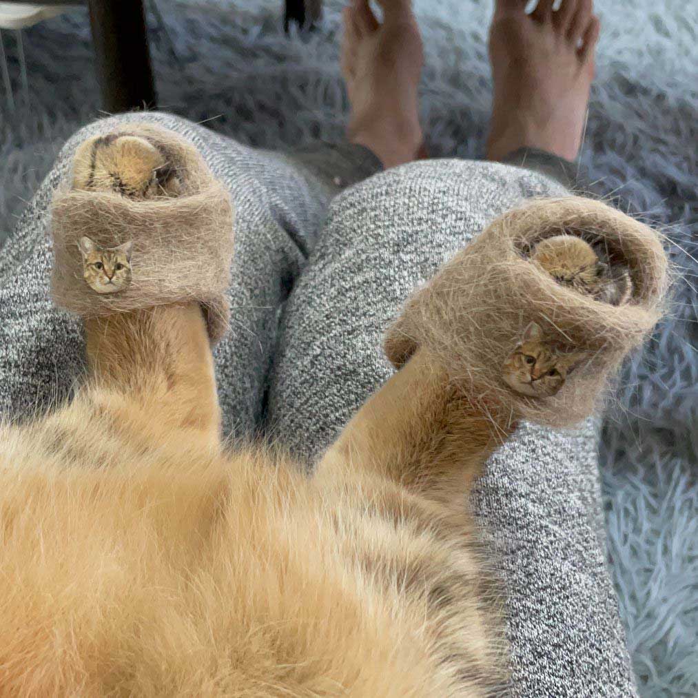 Cat with slippers made from his own fur