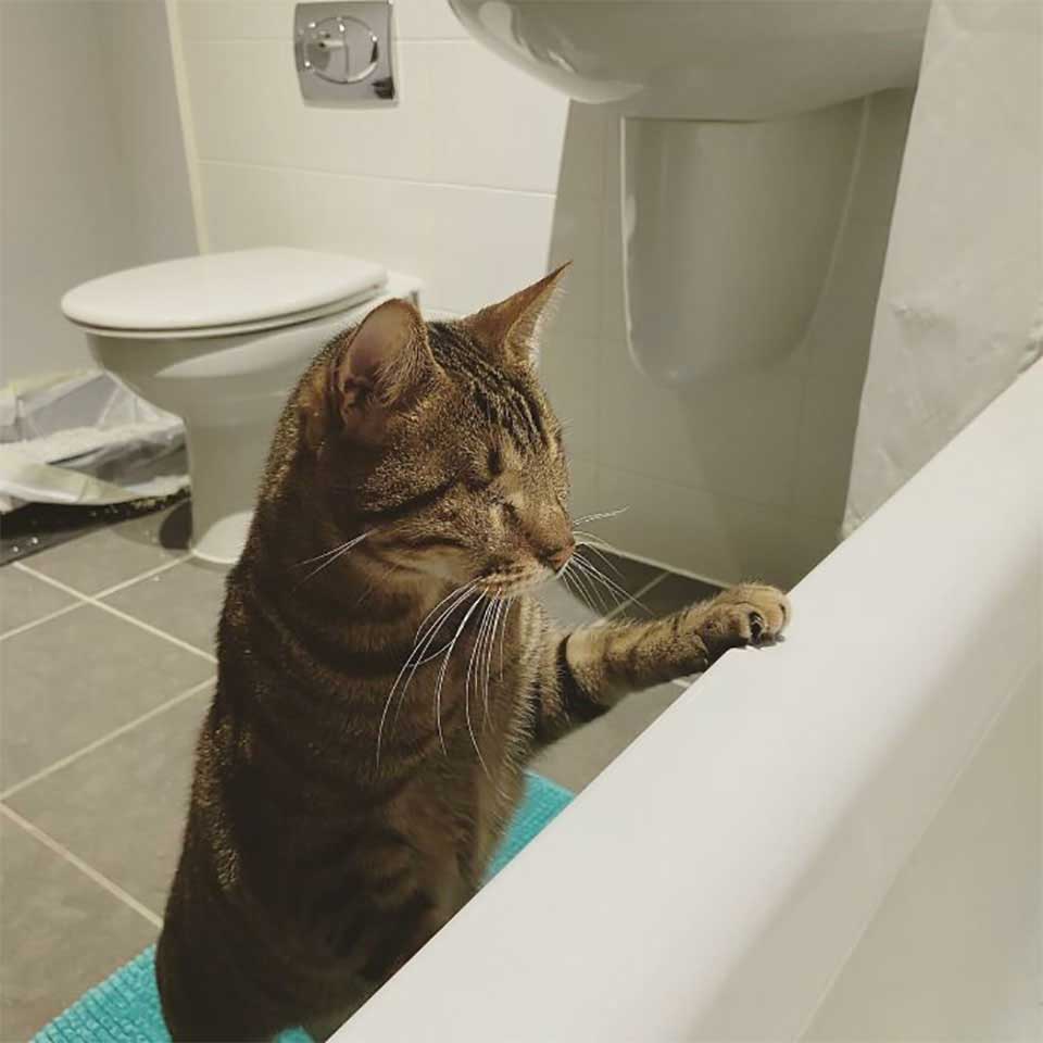Dmitri playing toilet