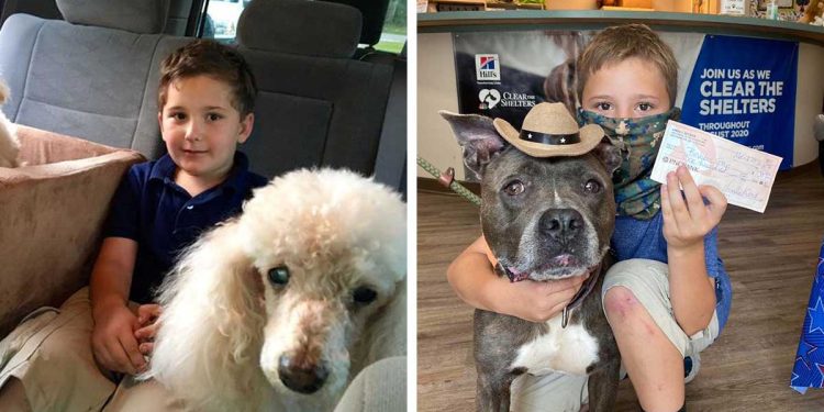 adopted child rescues dogs