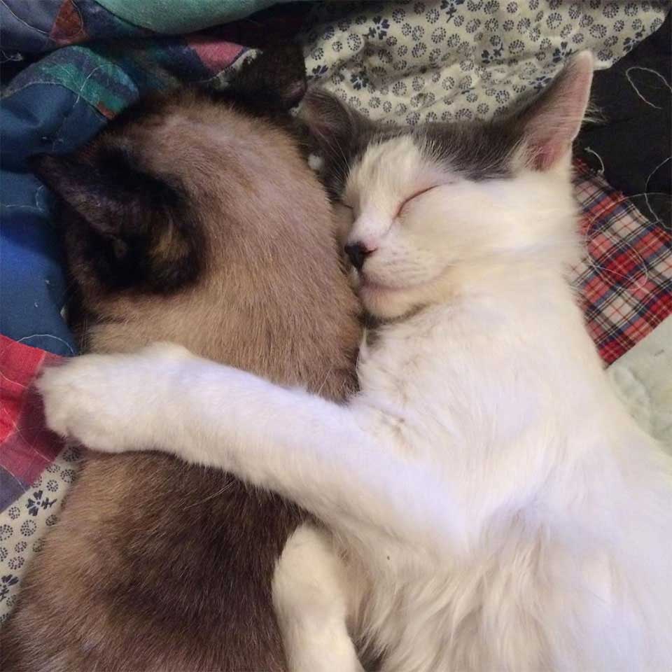 fluffy and sister