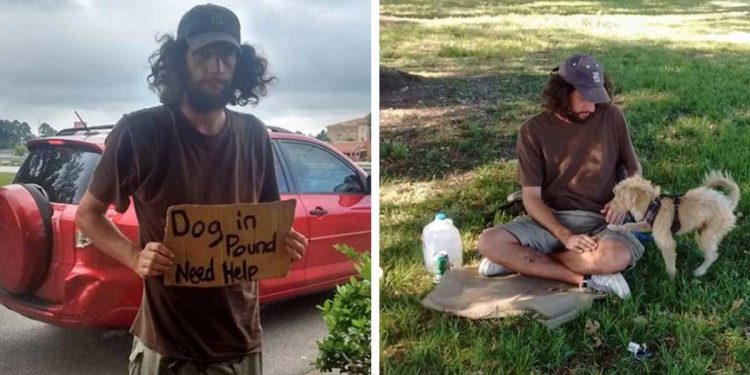 homeless man asks help get dog out shelter