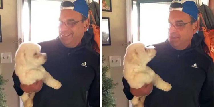 husband goes to groomer returns home wrong dog