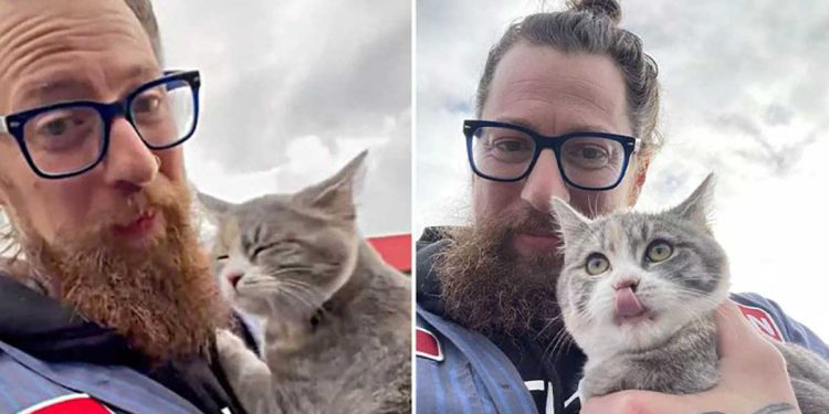man went paperwork returned with abandoned kitten